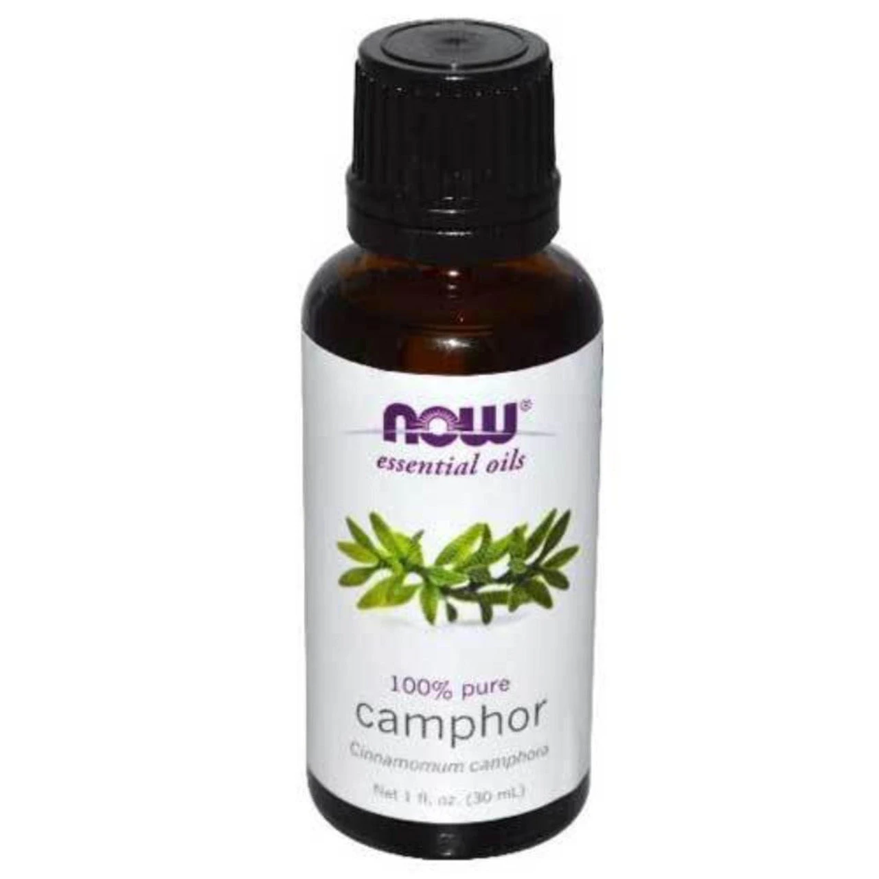 Now Foods Camphor Oil 1 Oz 1 Now Foods Camphor Oil 1 Oz