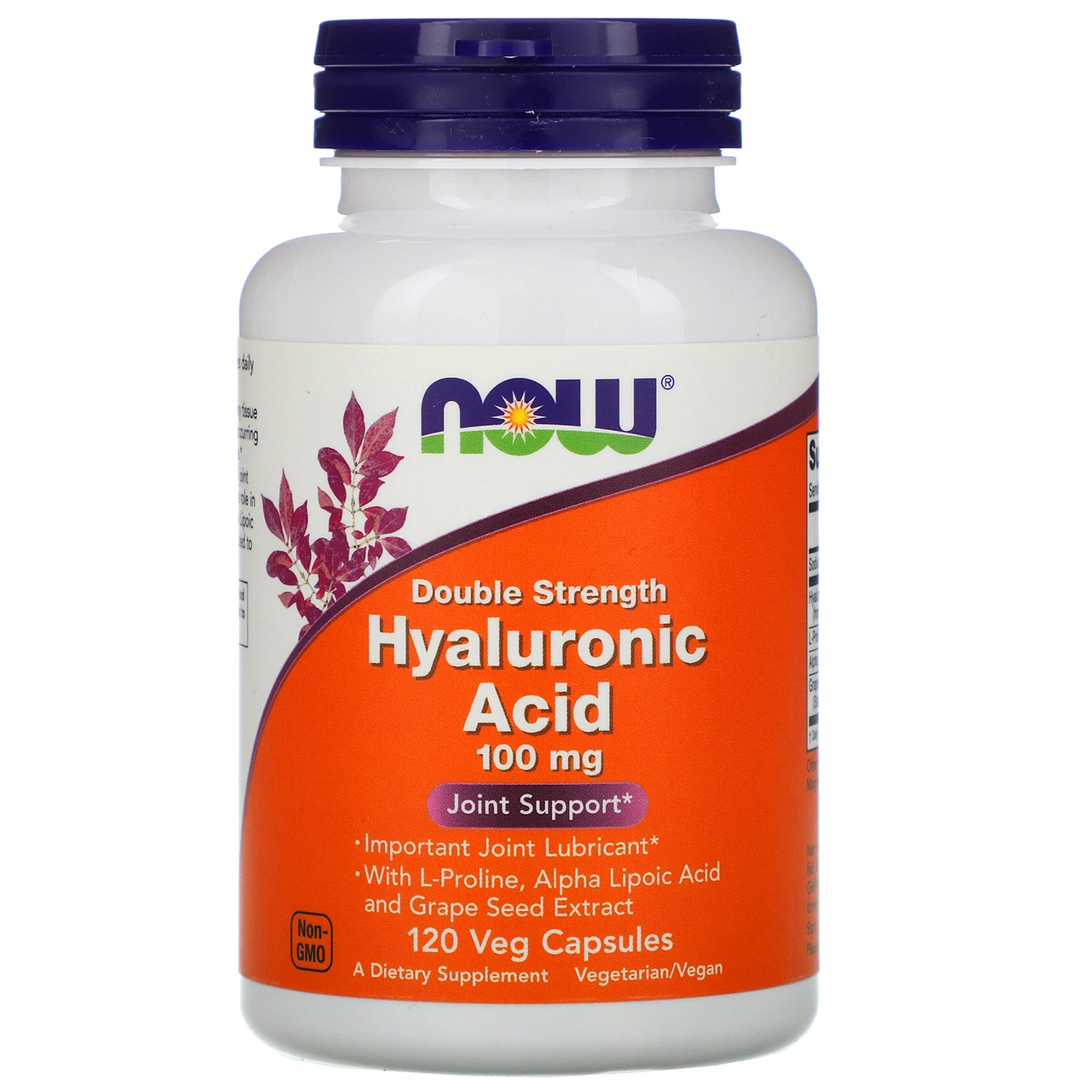 Now Foods Hyaluronic Acid 100 Mg 2X Plus 120 Vegetable Capsules 1 Now Foods Hyaluronic Acid 100 Mg 2X Plus 120 Vegetable Capsules
