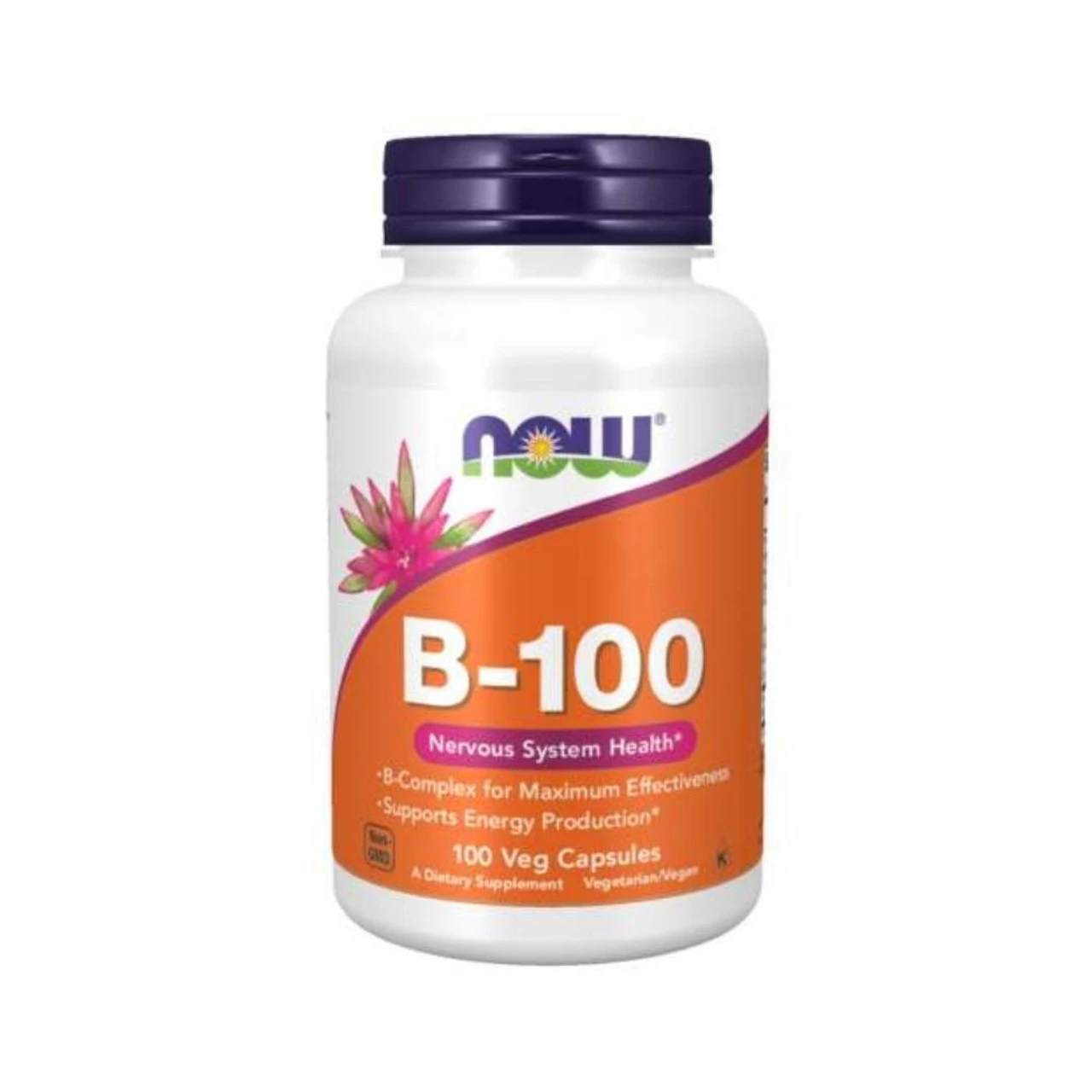 Now Foods B-100 100 Capsules 1 Now Foods B-100 100 Capsules
