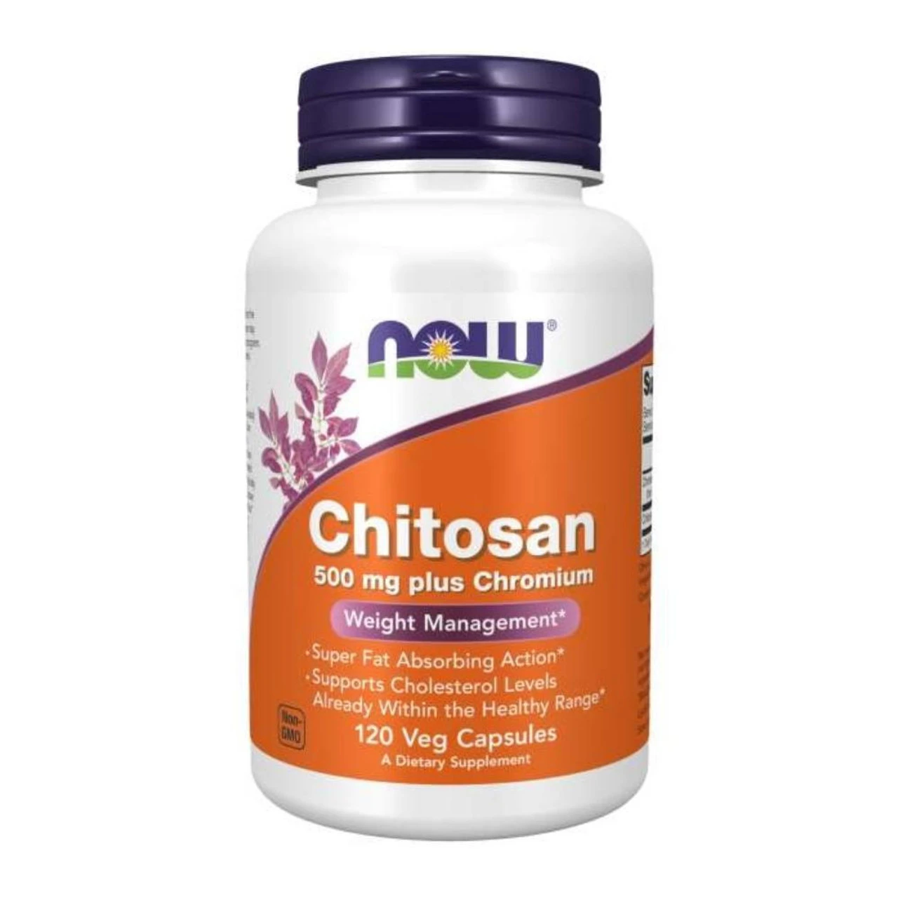 Now Foods Chitosan 500mg 120 Capsules 1 Now Foods Chitosan 500mg 120 Capsules