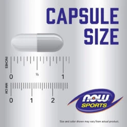 Now Foods Branch-Chain Amino 240 Capsules -Now Foods Untitleddesign 17 1994fe81 8fff 4687 b73f b224ce0f57fc 03382.1702142746
