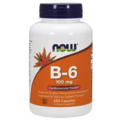 Now Foods B-6 100 Mg 250 Capsules