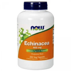 NOW Foods NOW Echinacea Root 400mg, 250 Veg Capsules